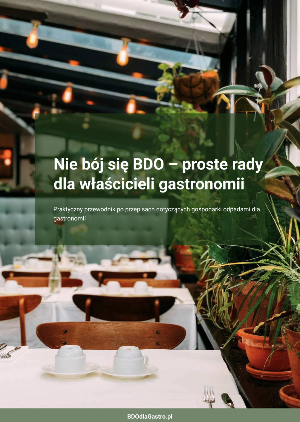 Mockup okładki przewodnika 'Nie bój się BDO'